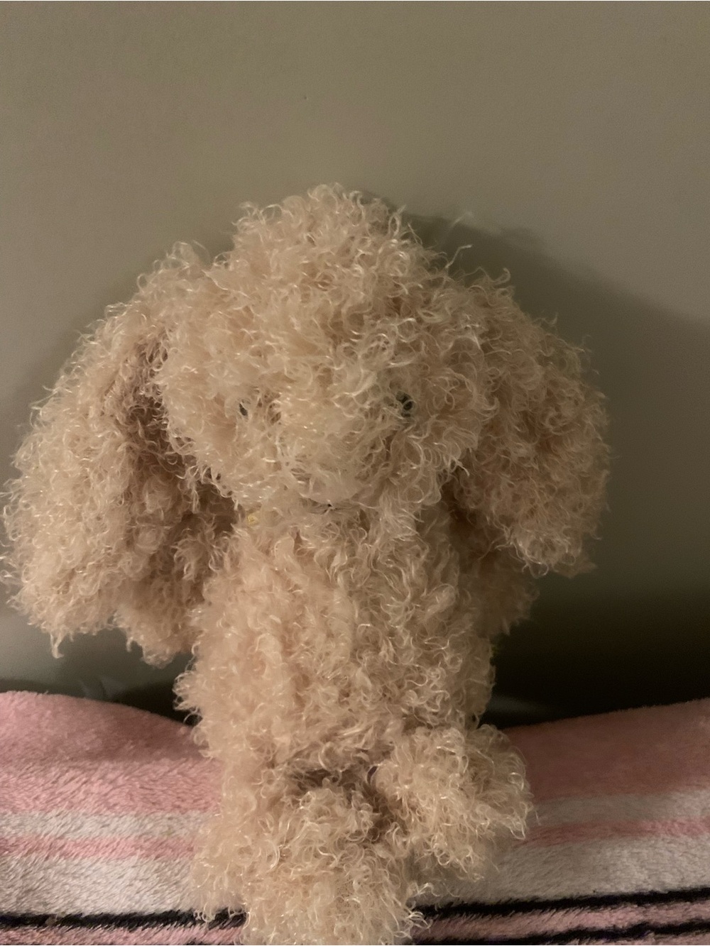 Plush Curly Beige jellycat bashful curly bunny medium
